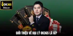 Đại lý OK365