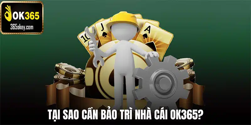 Tại sao cần bảo trì nhà cái OK365?