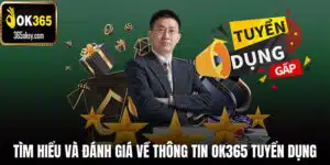 OK365 tuyển dụng